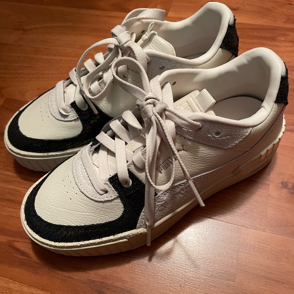 Pumas Platform - image 2